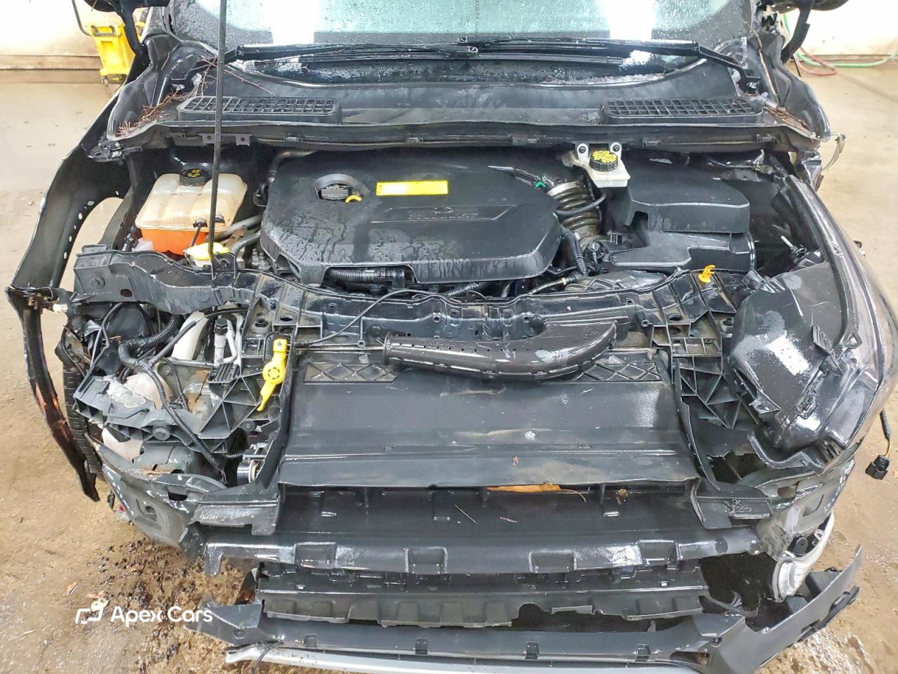 Ford Escape 2015