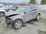 Ford Escape 2012