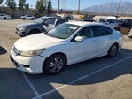 Honda Accord 2013