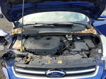Ford Escape 2013