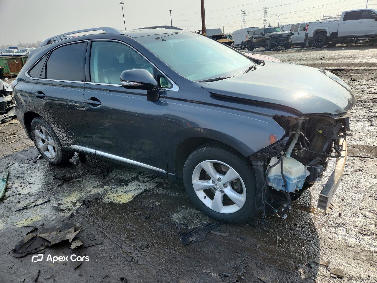 Lexus RX 2010