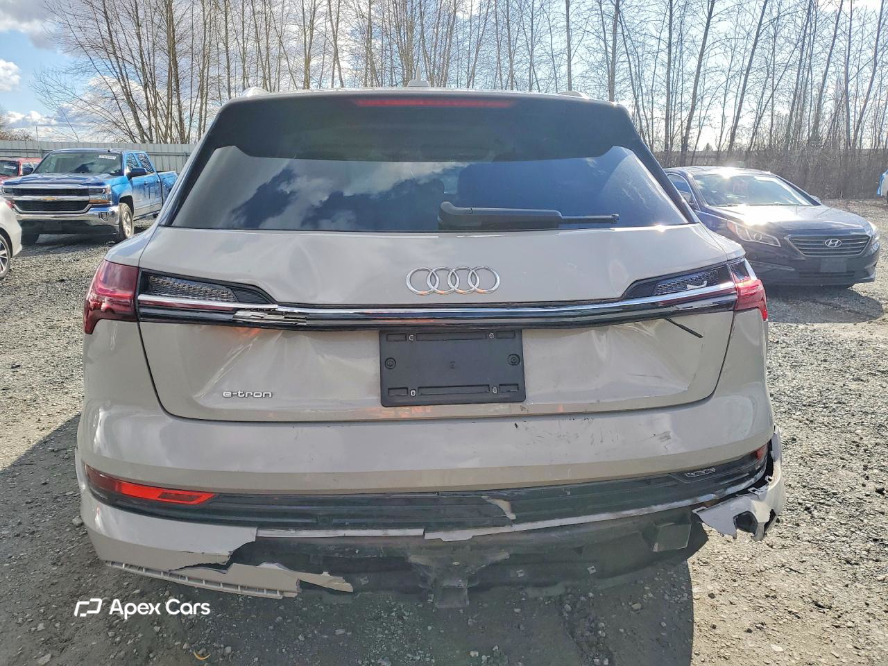 Audi e-tron 2019