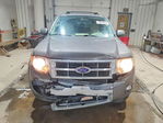 Ford Escape 2011