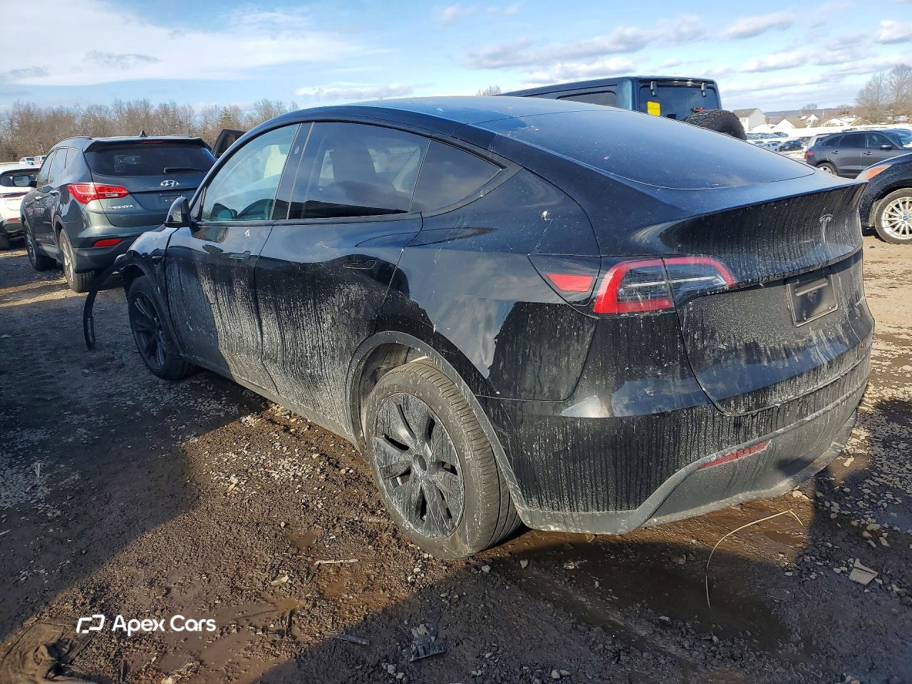 Tesla Model Y 2024