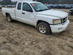 Dodge Dakota 2011
