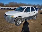 Ford Escape 2005