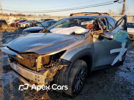 Lexus NX 2023 - Image 1 of 13