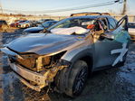 Lexus NX 2023