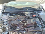Honda Civic 2024