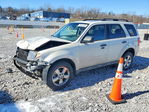 Ford Escape 2009