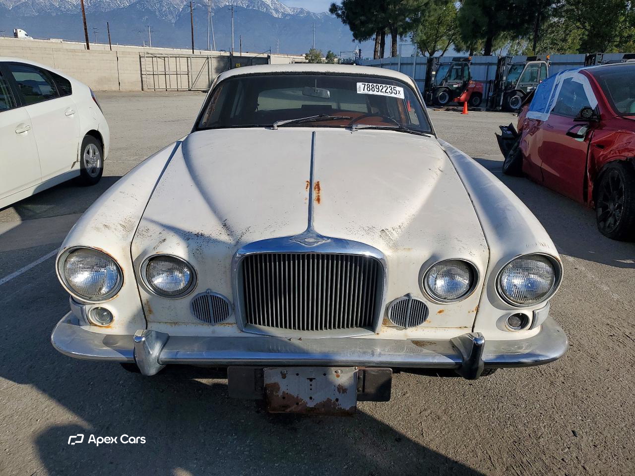 Jaguar  1965
