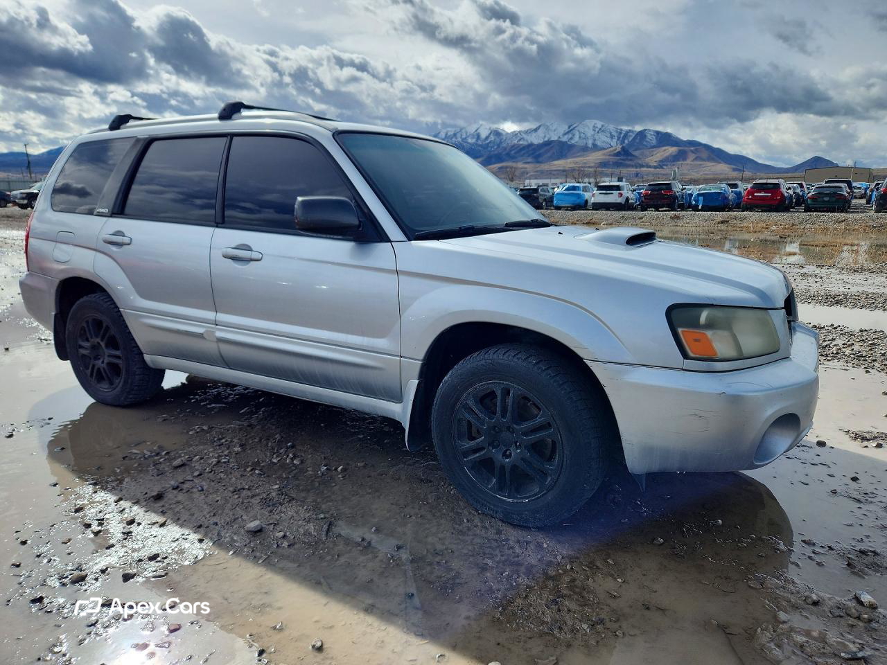 Subaru Forester 2004