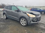 Ford Escape 2015