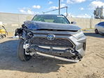 Toyota RAV 4 2023