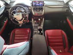Lexus NX 2021