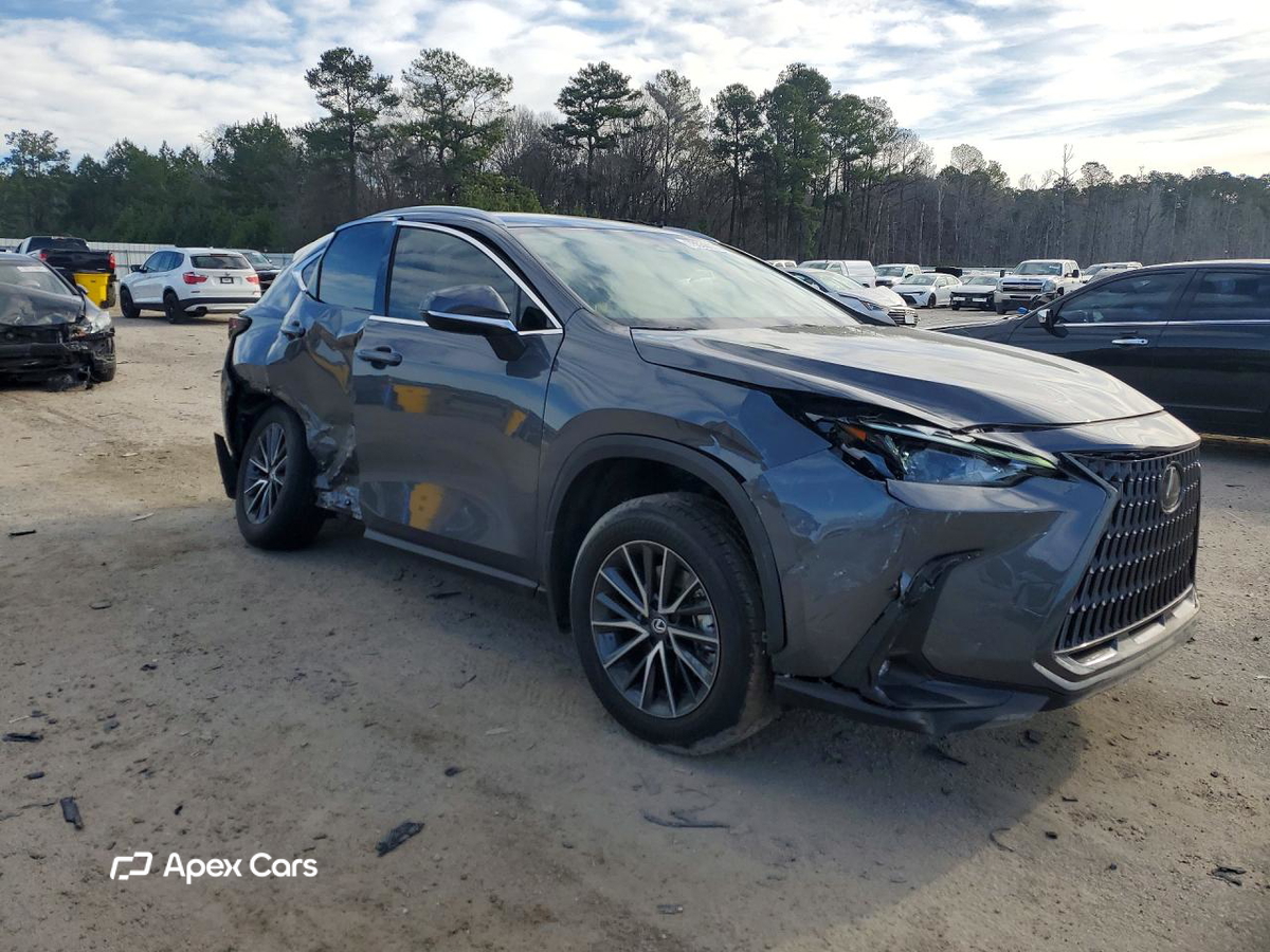 Lexus NX 2024