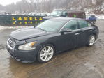 Nissan Maxima 2012