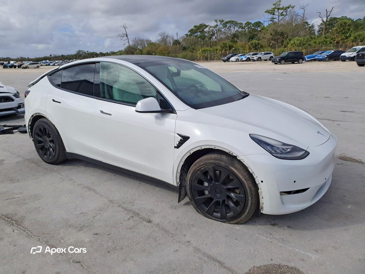Tesla Model Y 2021