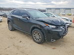 Lexus NX 2015