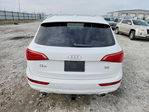 Audi Q5 2010