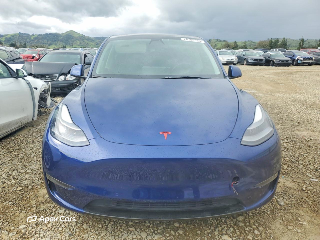 Tesla Model Y 2021