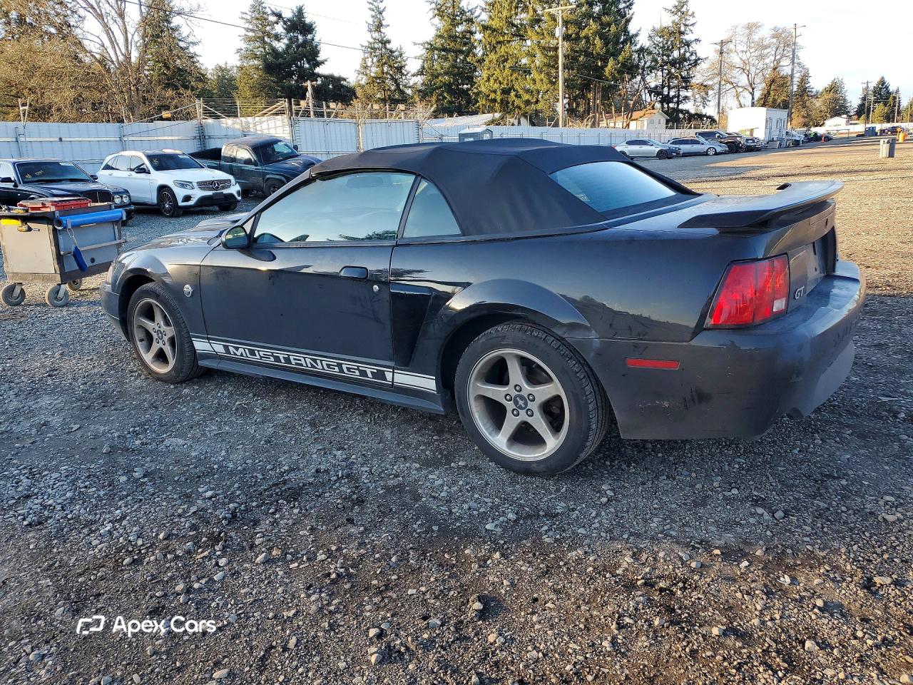 Ford Mustang 2004