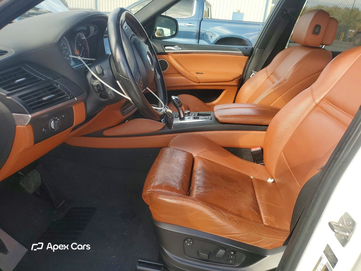 BMW X5 2010