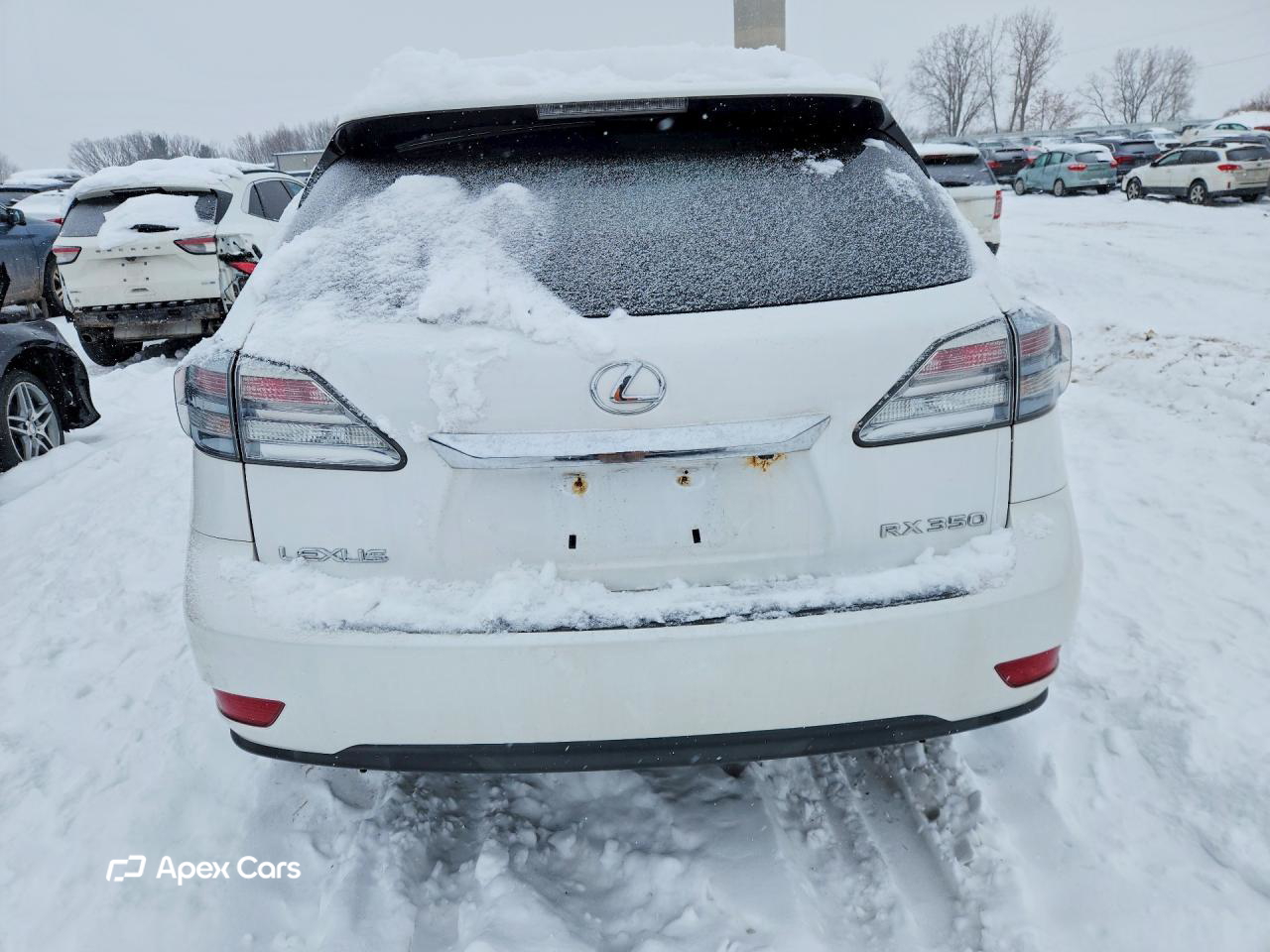 Lexus RX 2010