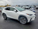Lexus NX 2020