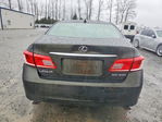 Lexus ES 2010