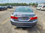 Honda Accord 2013