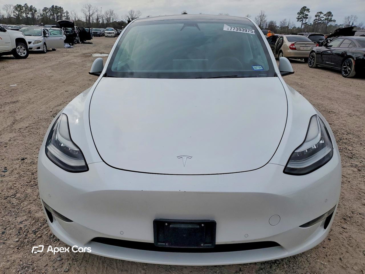Tesla Model Y 2020