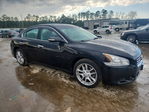 Nissan Maxima 2010
