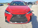 Lexus NX 2024