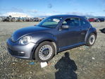 Volkswagen Beetle 2014