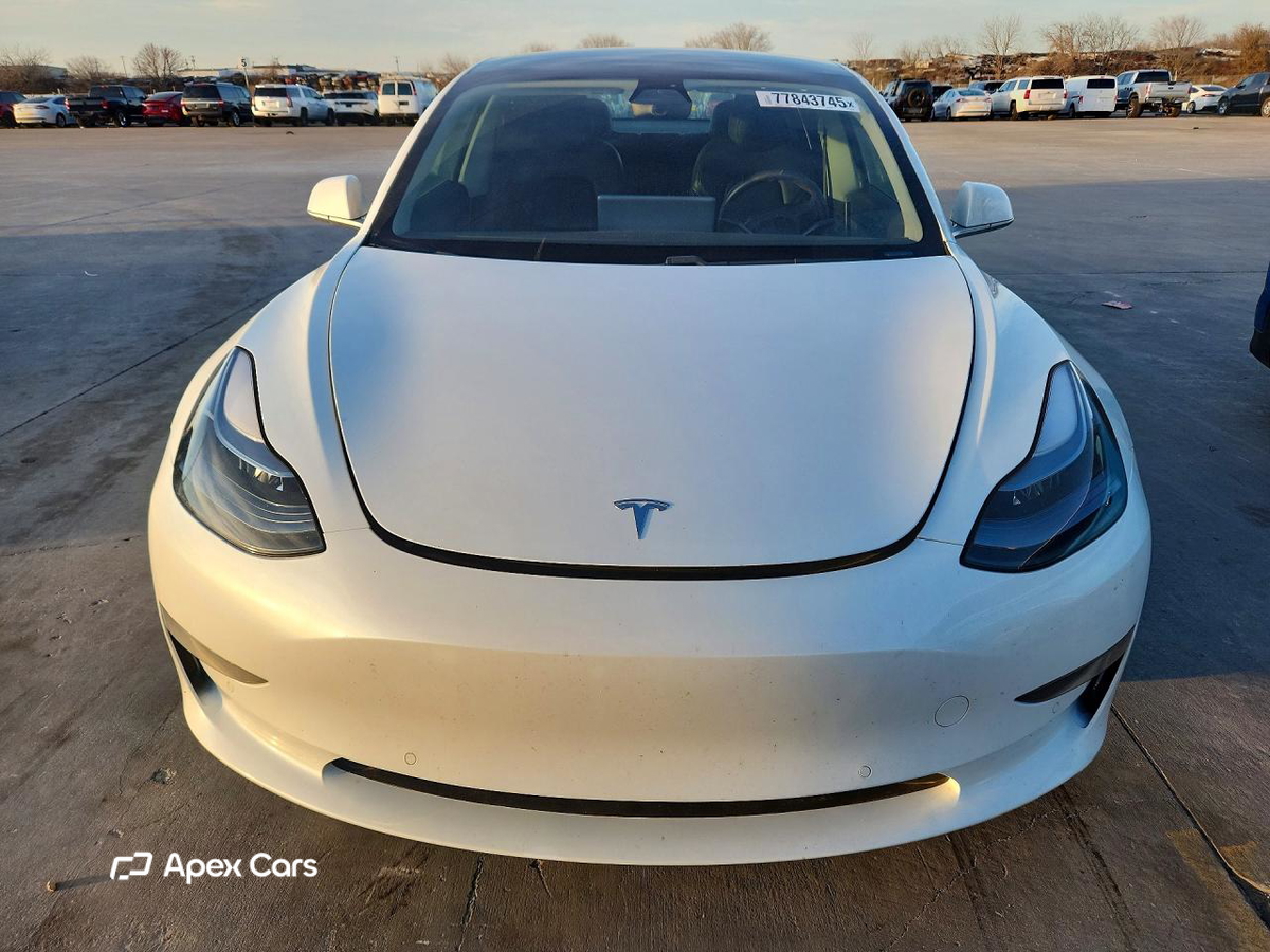 Tesla Model 3 2020