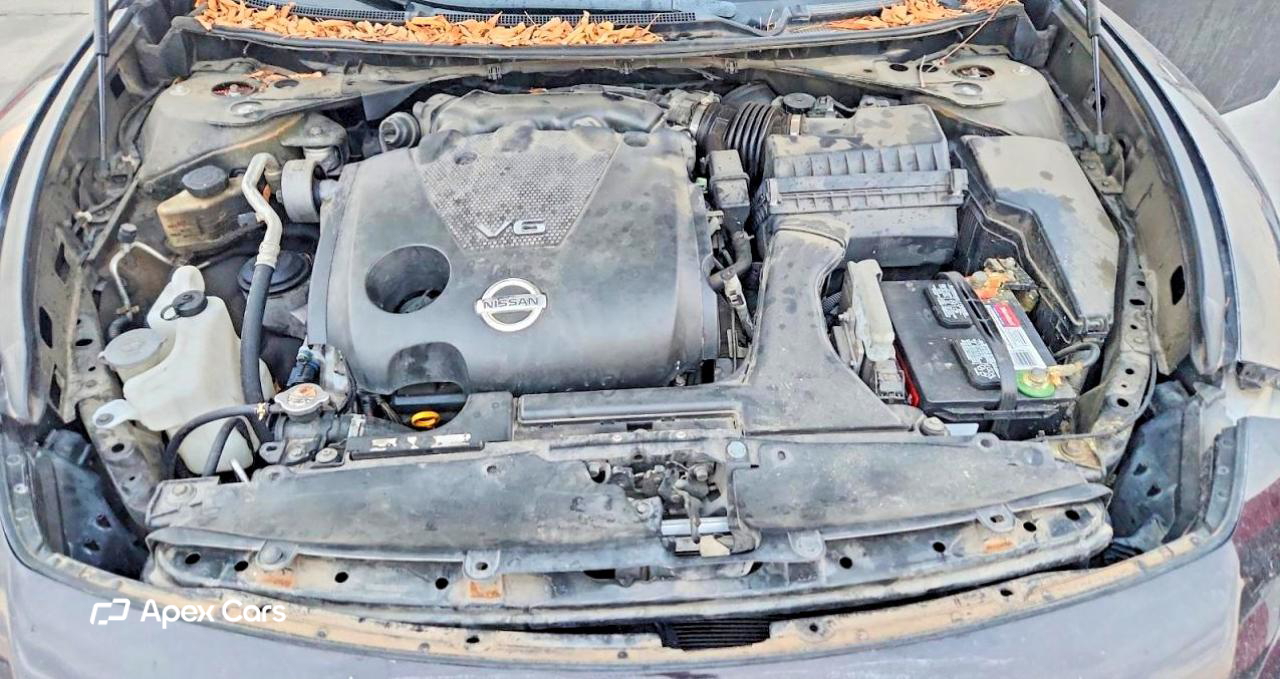 Nissan Maxima 2010