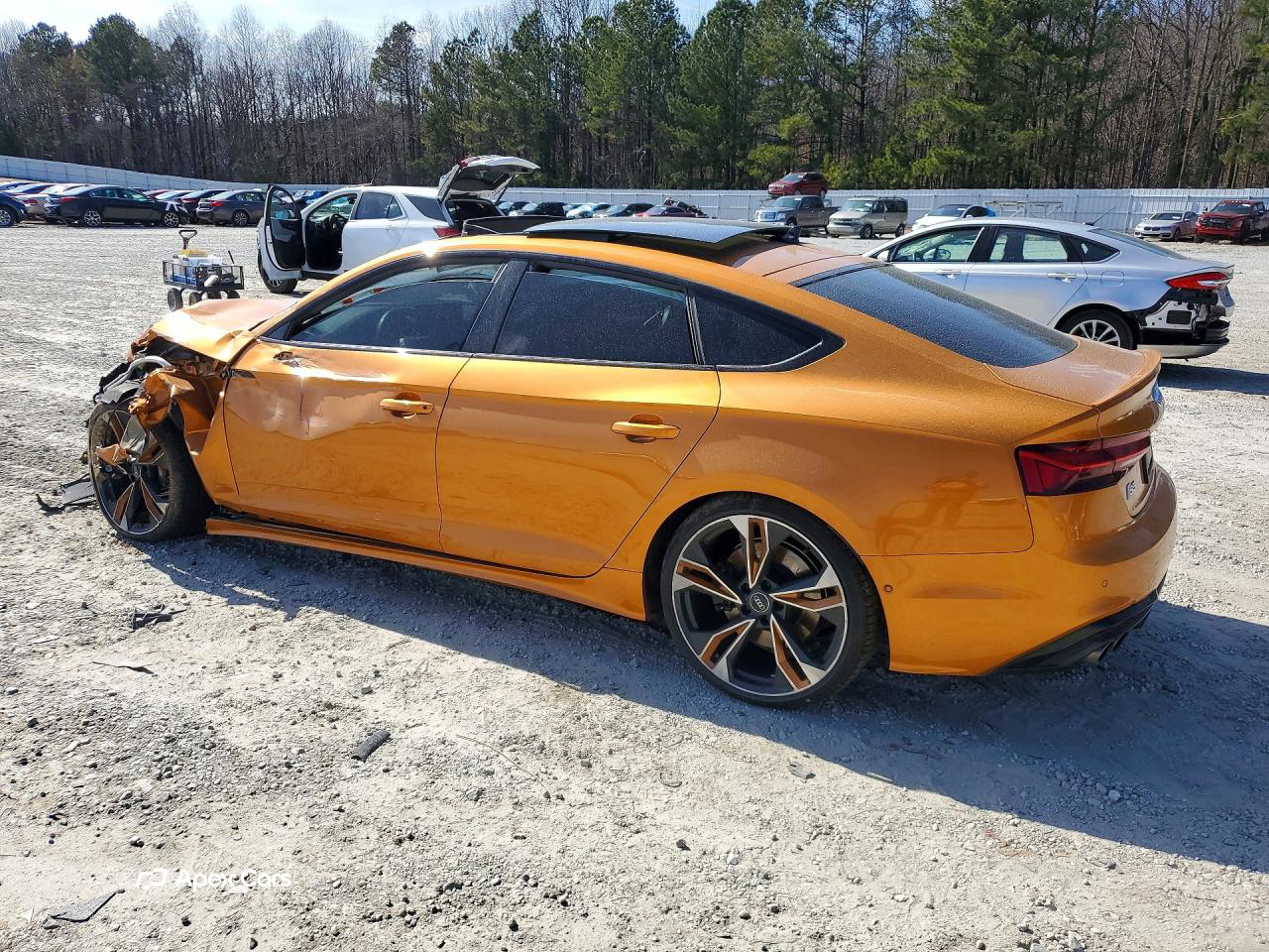 Audi S5 2021