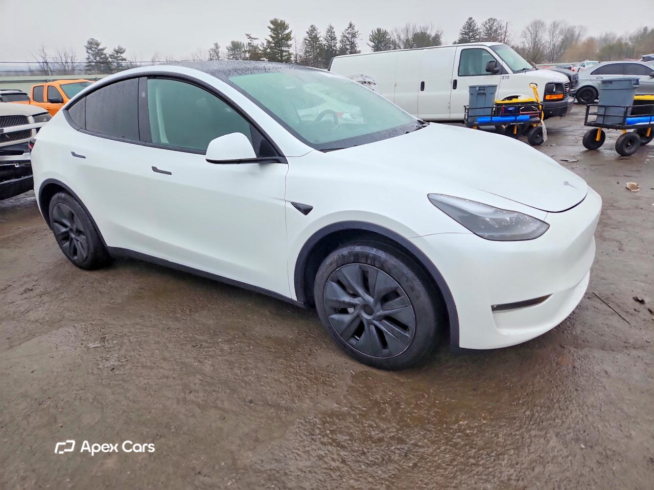 Tesla Model Y 2025
