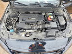 Honda Accord 2019