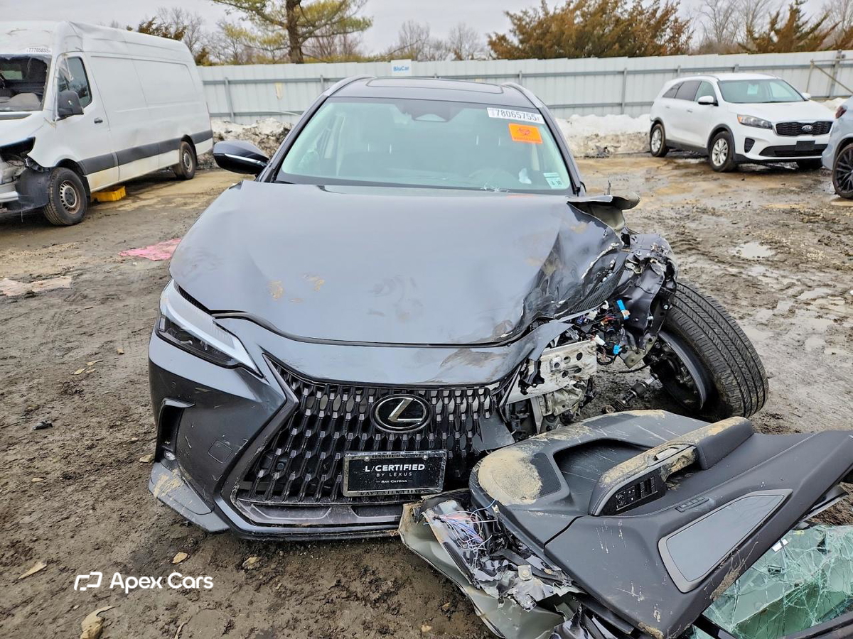Lexus NX 2025