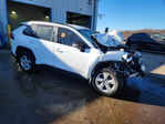 Toyota RAV 4 2021