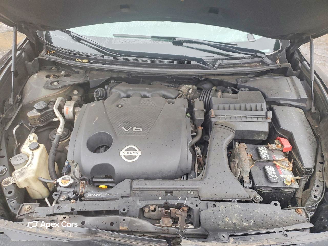 Nissan Maxima 2012