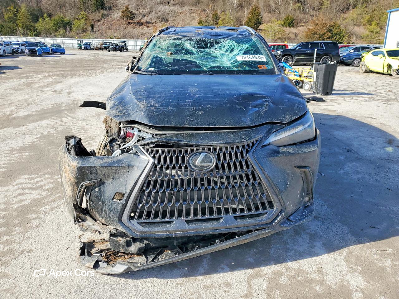 Lexus NX 2025