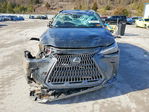 Lexus NX 2025