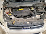 Ford Escape 2015