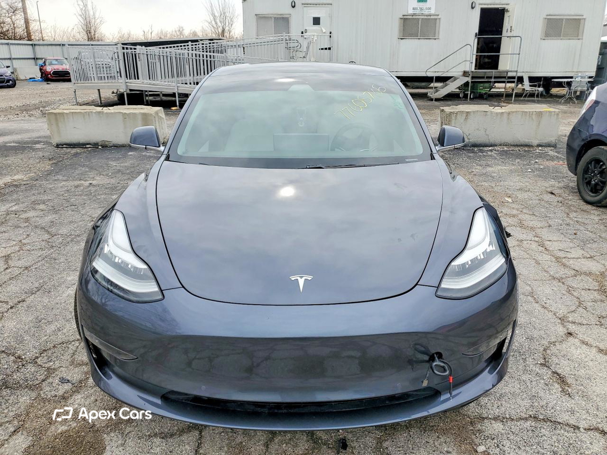 Tesla Model 3 2019