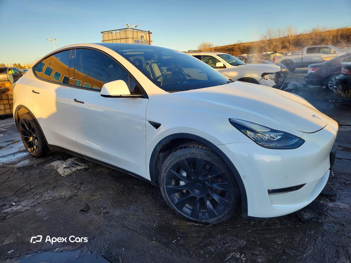 Tesla Model Y 2021