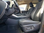 Lexus NX 2021