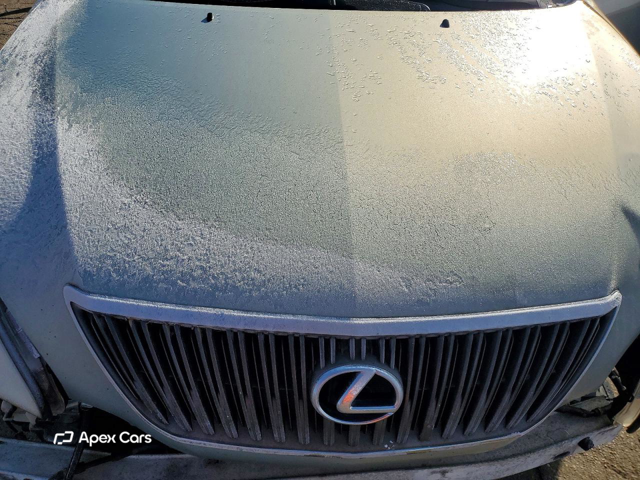 Lexus RX 2006